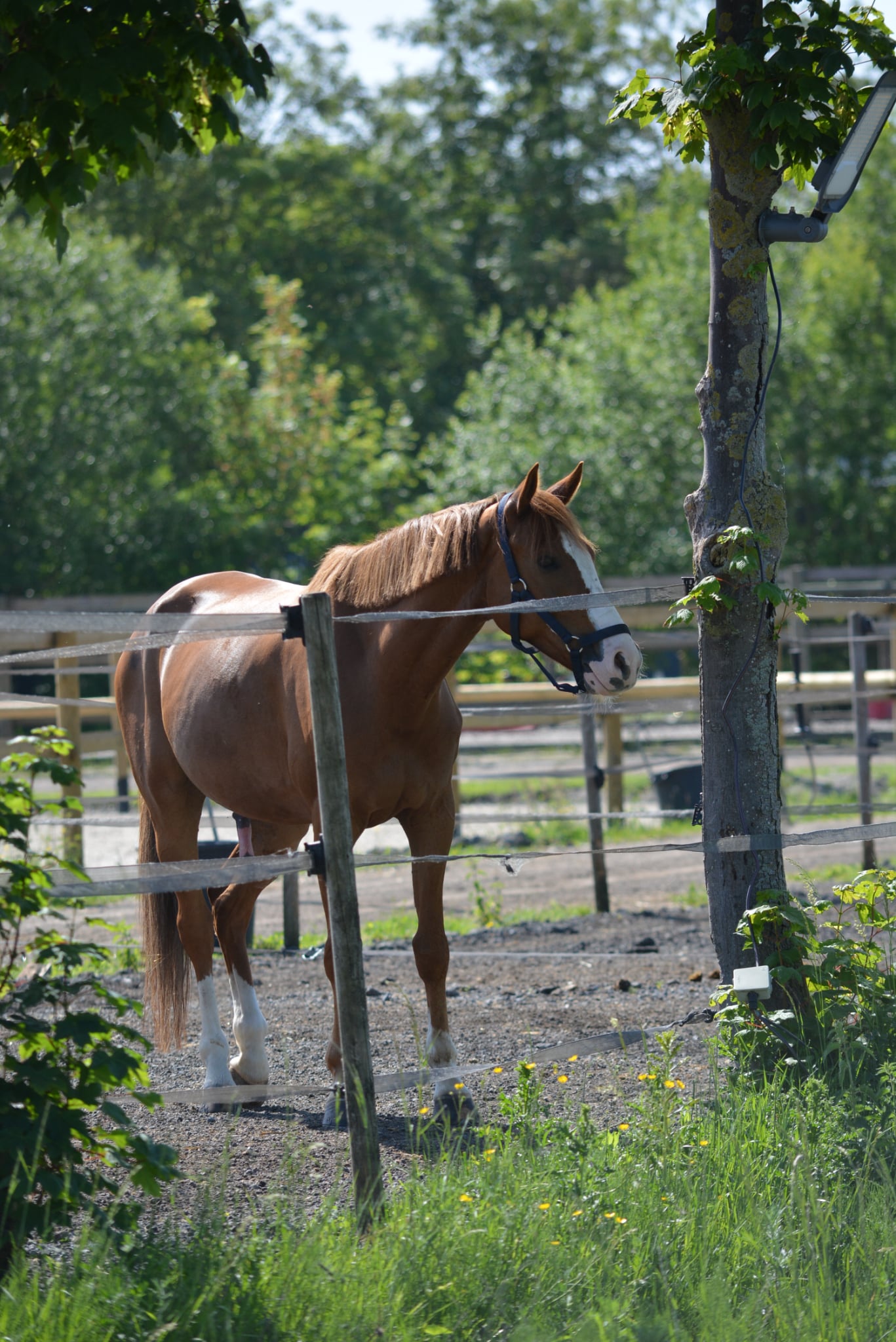 Installation du Domaine Equestre du Chateau d'Hem