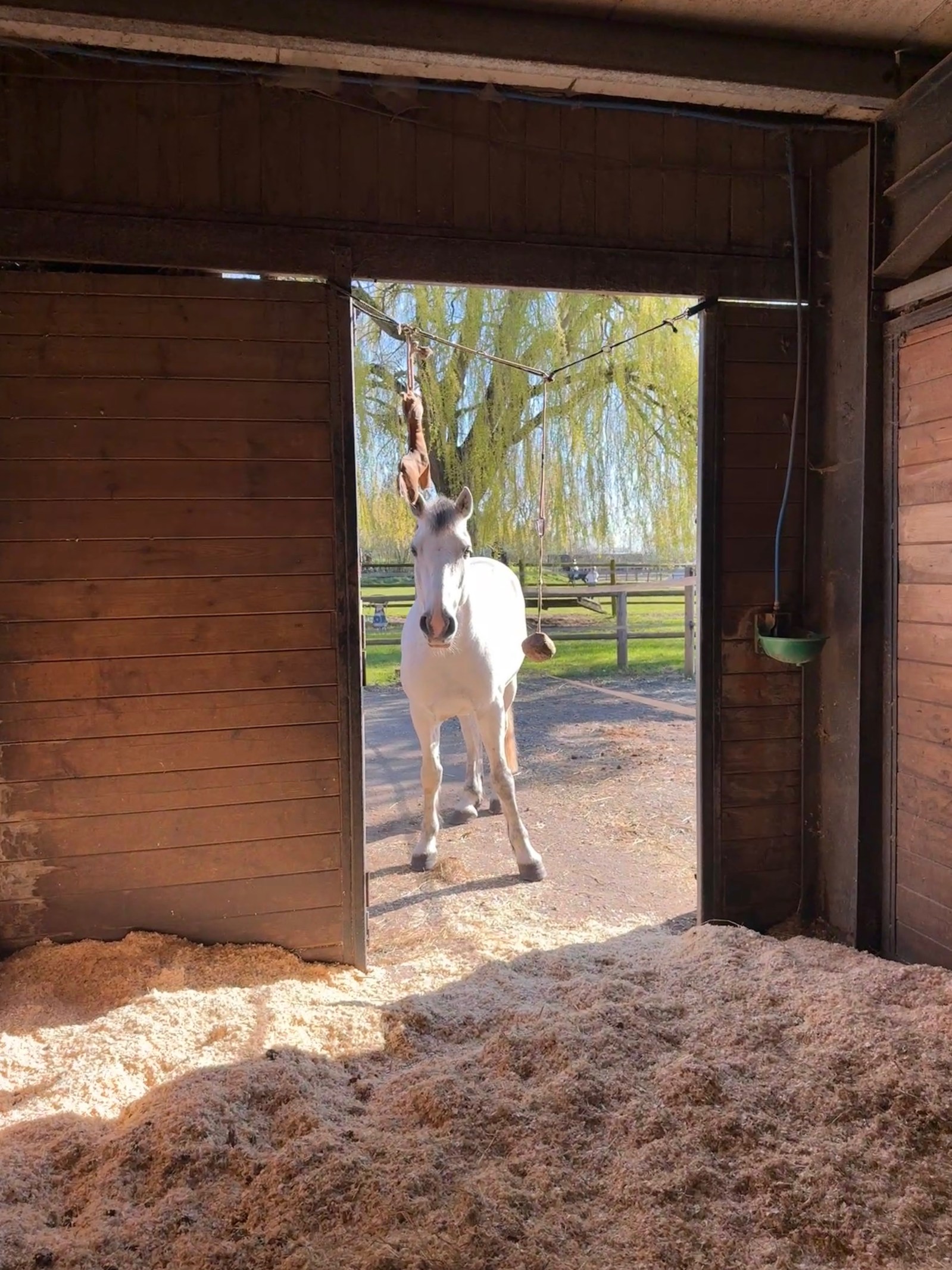 Installation du Domaine Equestre du Chateau d'Hem